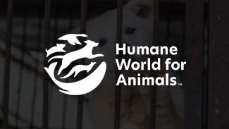 Humane Society International Humane Society International